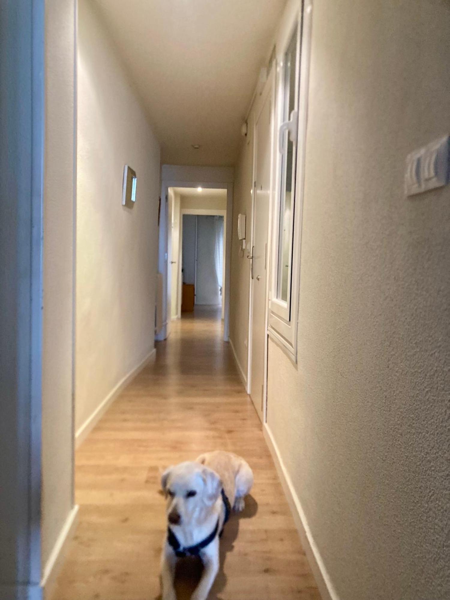 Appartement San Gregorio